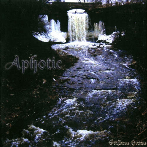 Aphotic (USA) : Stillness Grows (Compilation)